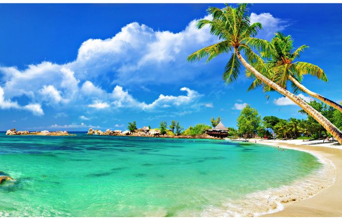 Best Beaches in Goa: North vs South 