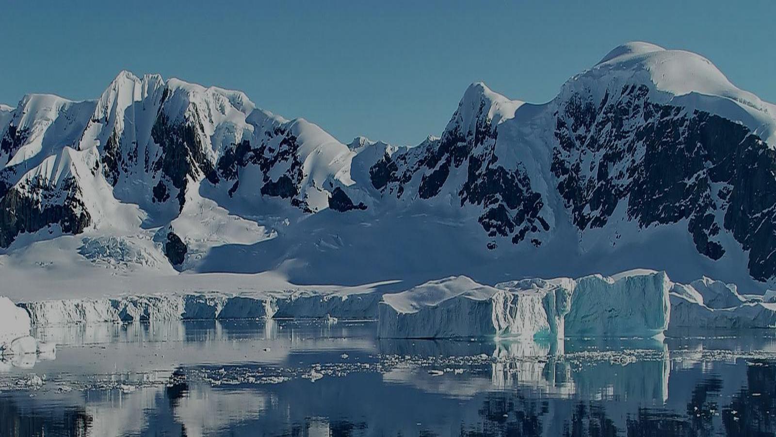 Antarctica Adventure – Wildlife, Icebergs & Untamed Wilderness