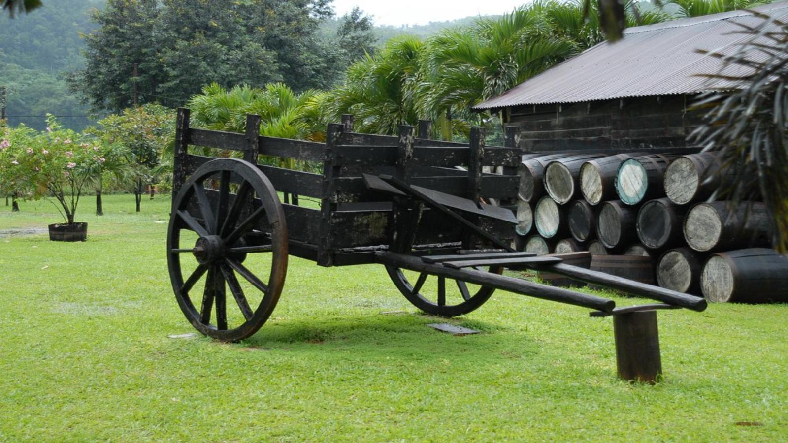 Jamaica Island Explorer Beaches, Waterfalls & Reggae Vibes