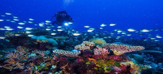 Southern Africa Discovery Cape Town, Kruger & Mozambique