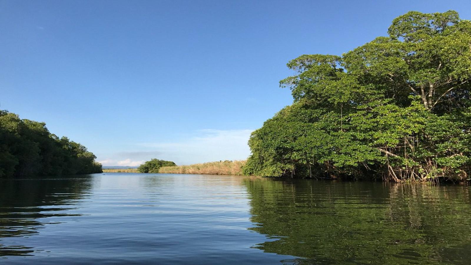 Jamaica Island Explorer Beaches, Waterfalls & Reggae Vibes