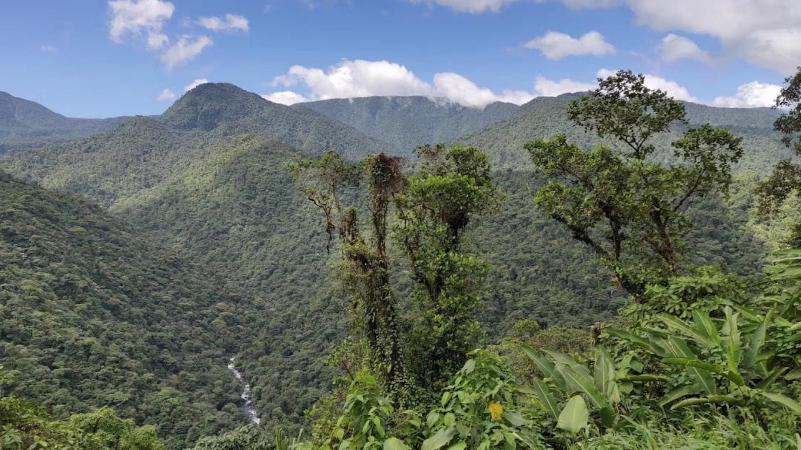 Costa Rica & Panama From Rainforest Trails to Caribbean Shores