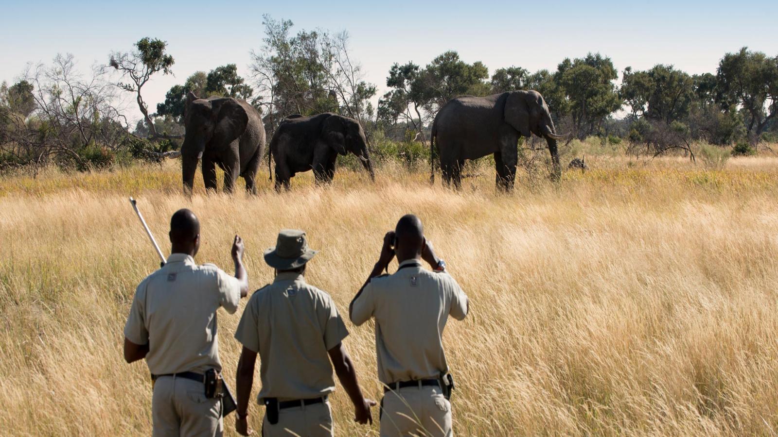 Mauritius Relaxation & Botswana Adventure