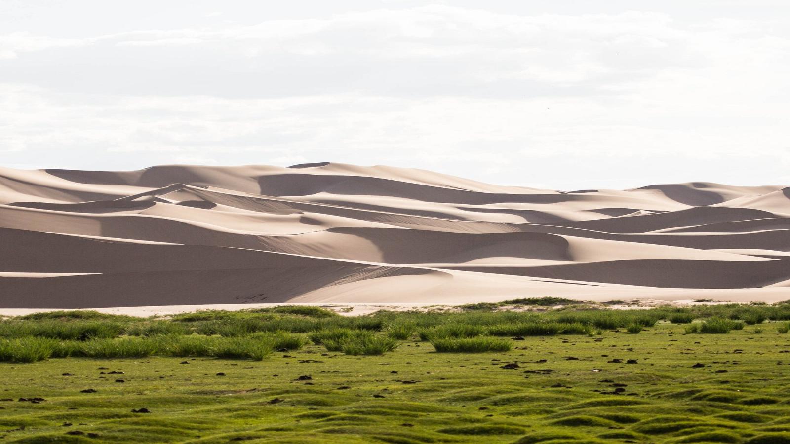 Mongolia Expedition Deserts, Dunes & Traditions