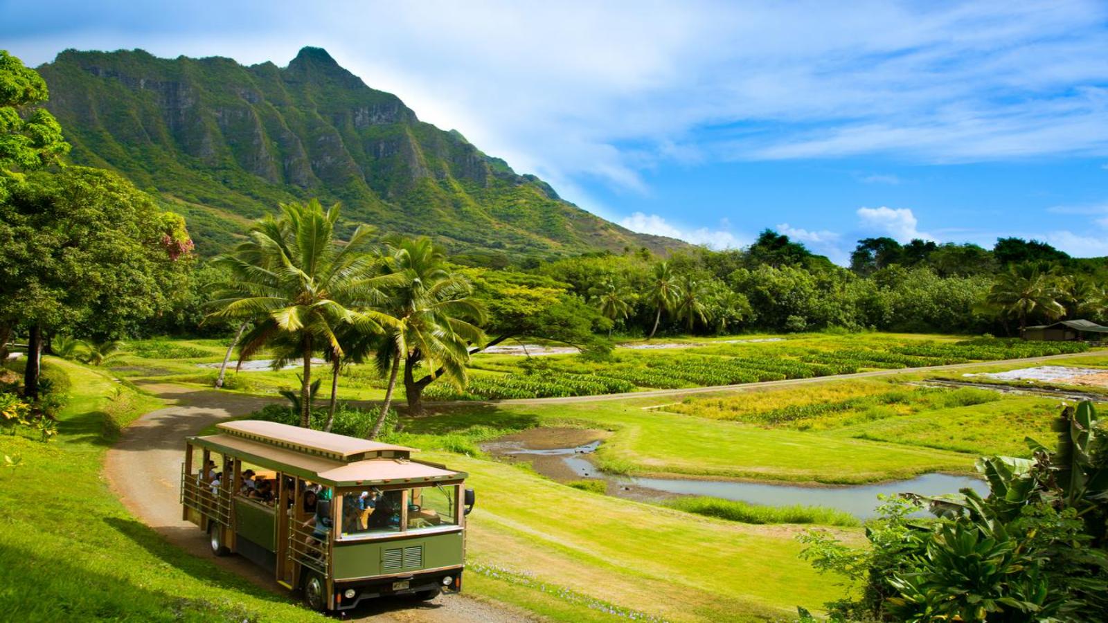 Hawaiian Dreams From Waikiki to the Na Pali Coast