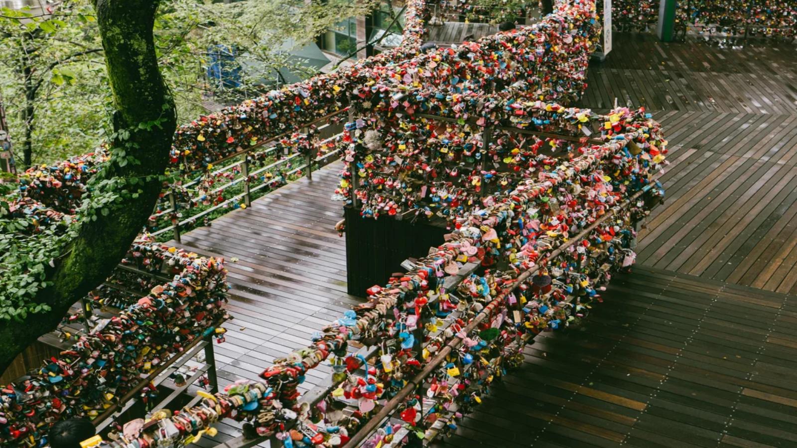 Best of South Korea Seoul, Nami Island & Busan Escape