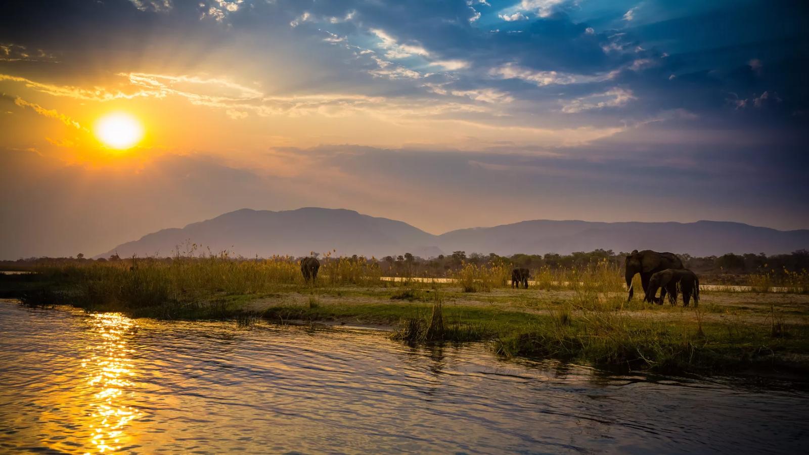 Zambia Wildlife & Waterfalls Adventure