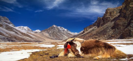 Nepal Classic Tour