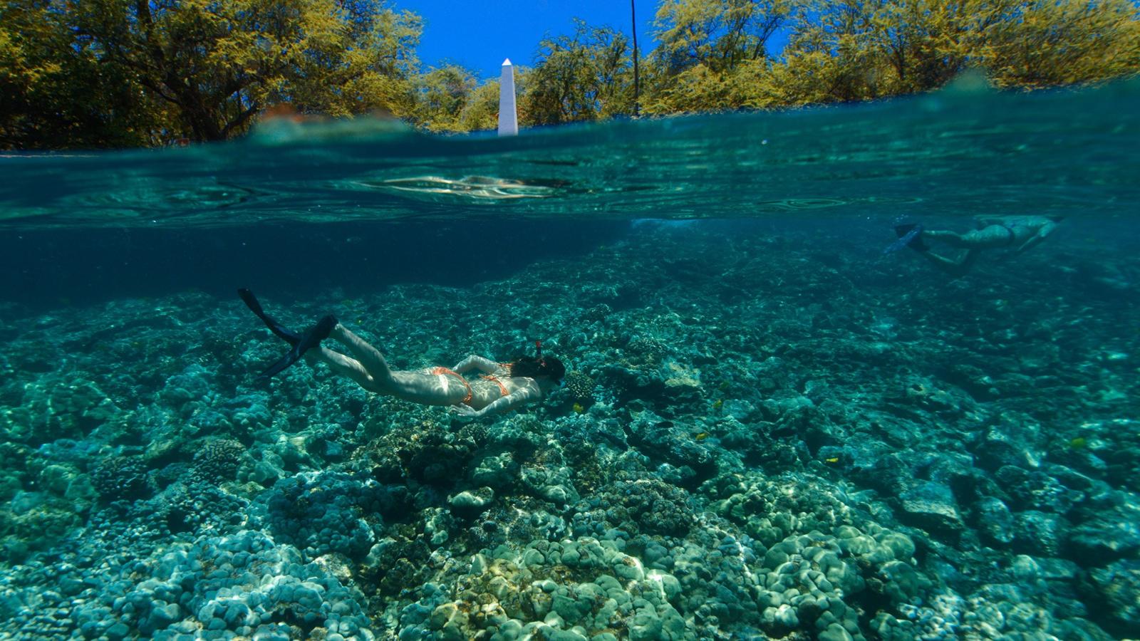 Hawaiian Dreams From Waikiki to the Na Pali Coast