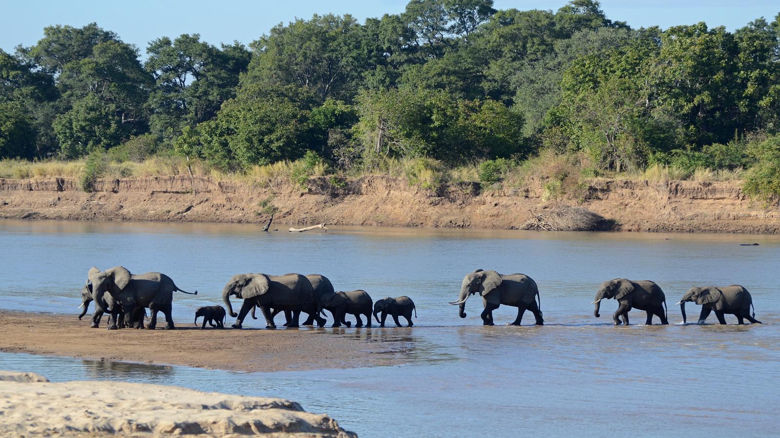 Zambia Wildlife & Waterfalls Adventure