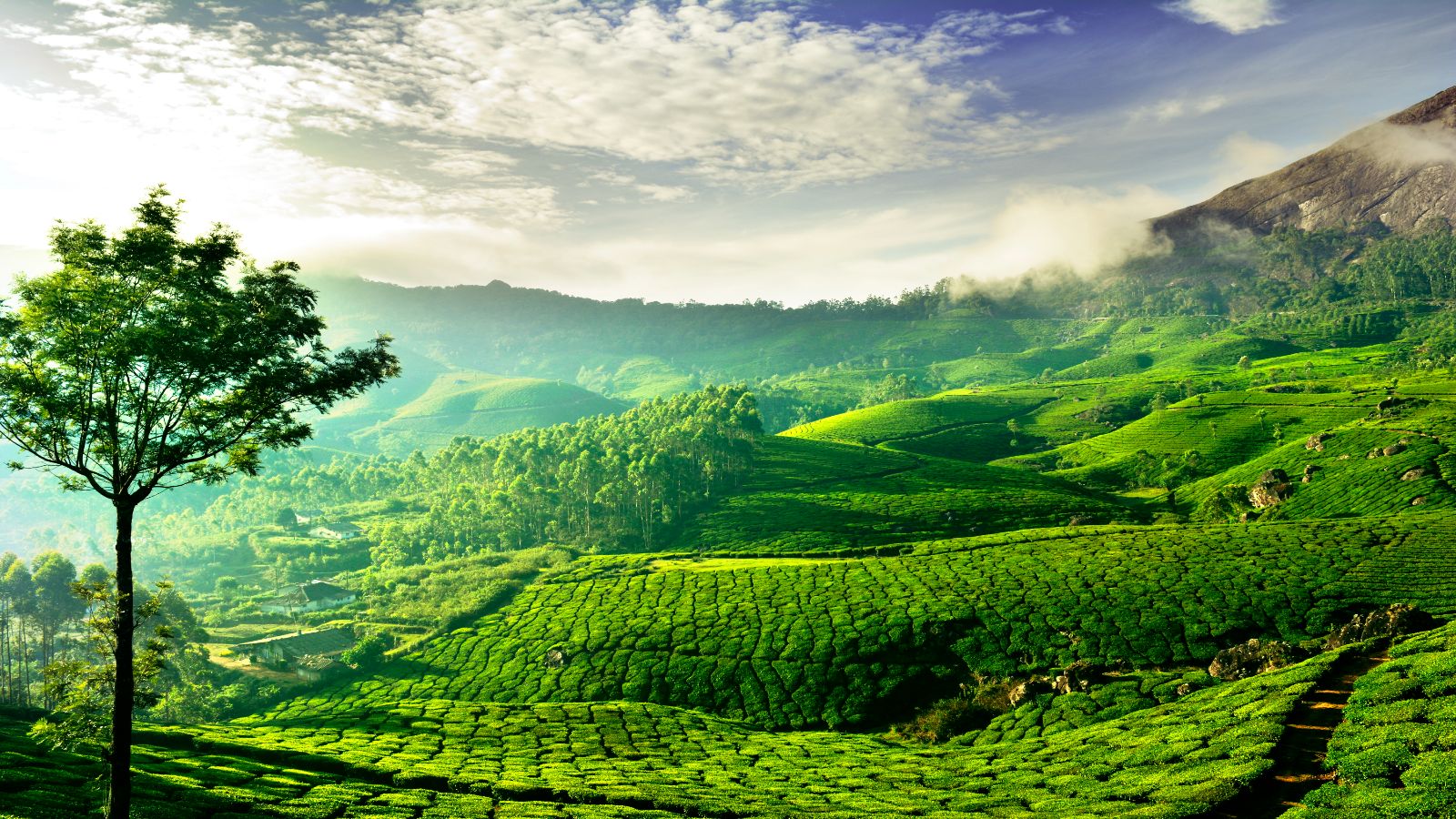 Best of Kerala