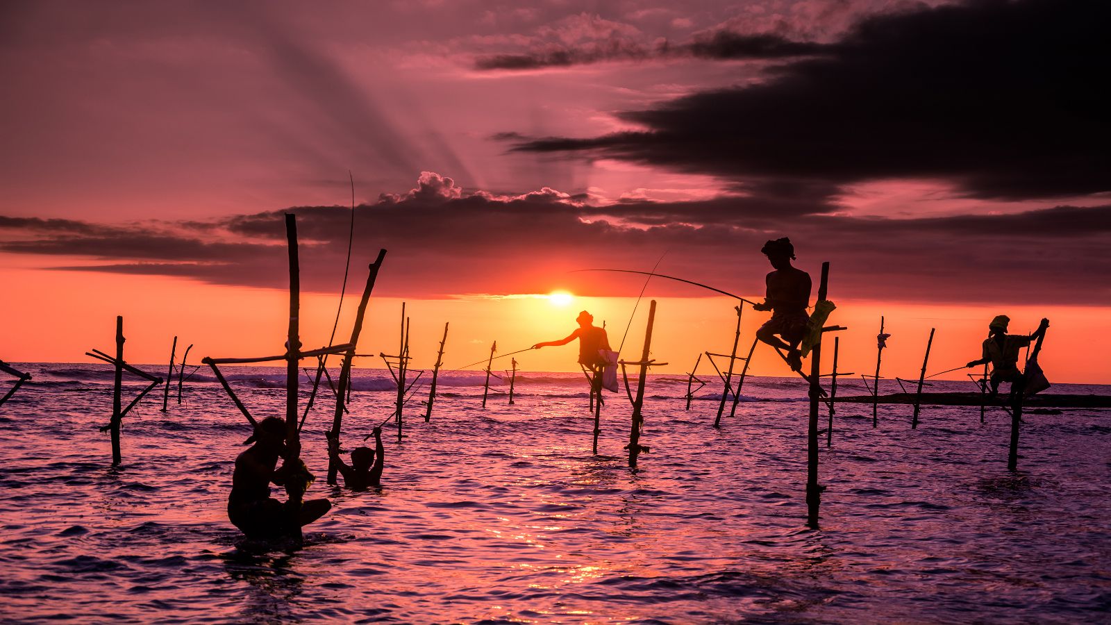 Sri Lankan Splendour