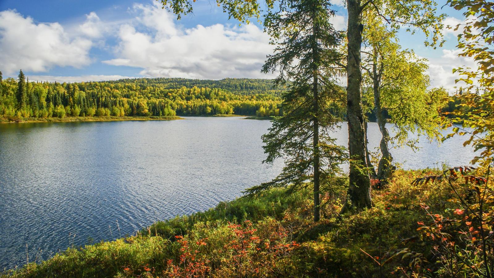 Alaska Wilderness & Scenic Rail Adventure