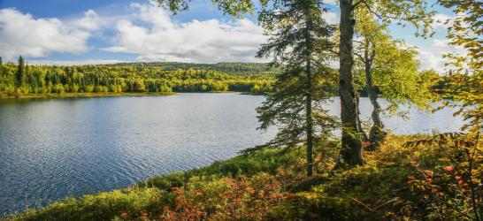 Alaska Wilderness & Scenic Rail Adventure