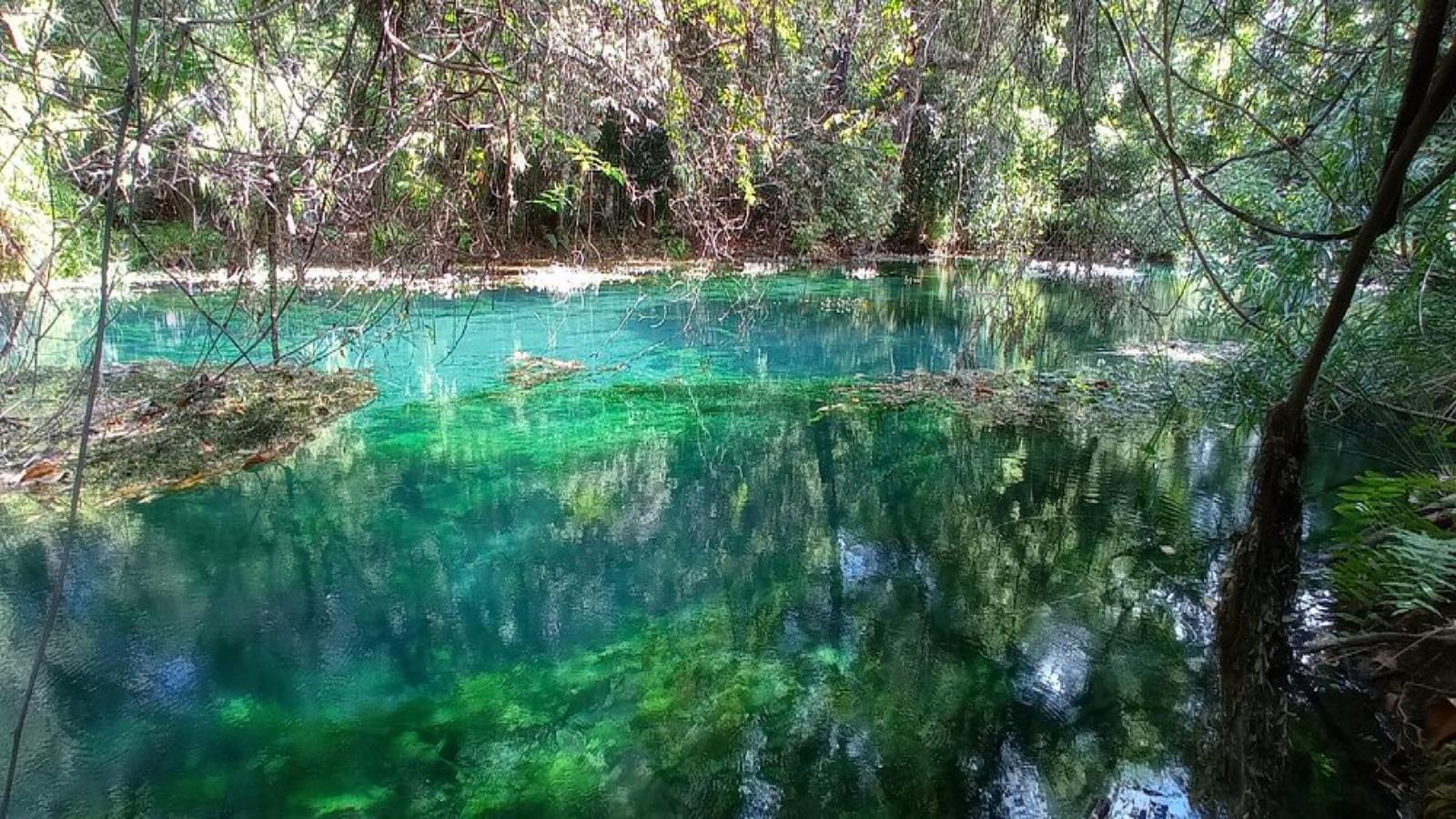 Madagascar Highlights Lemurs, Limestone & Baobabs