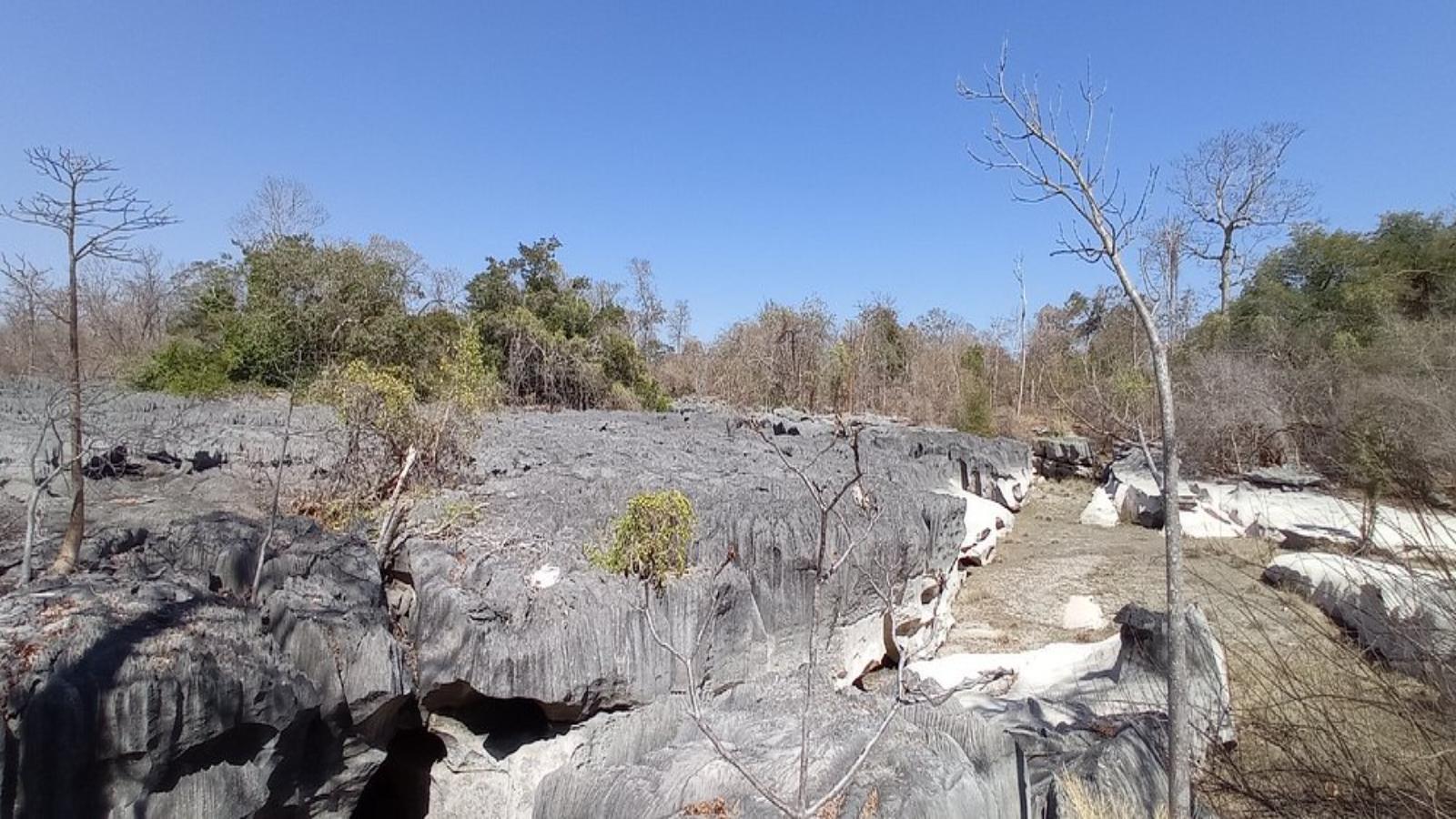 Madagascar Highlights Lemurs, Limestone & Baobabs