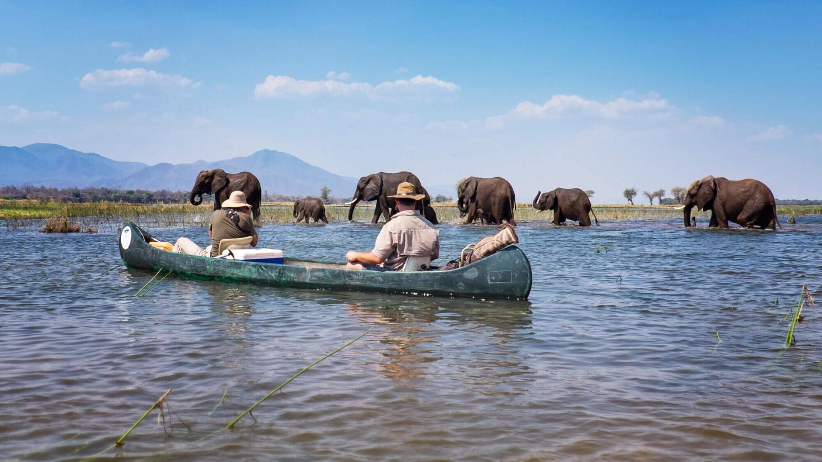 10 Days Zimbabwe Safari Adventure