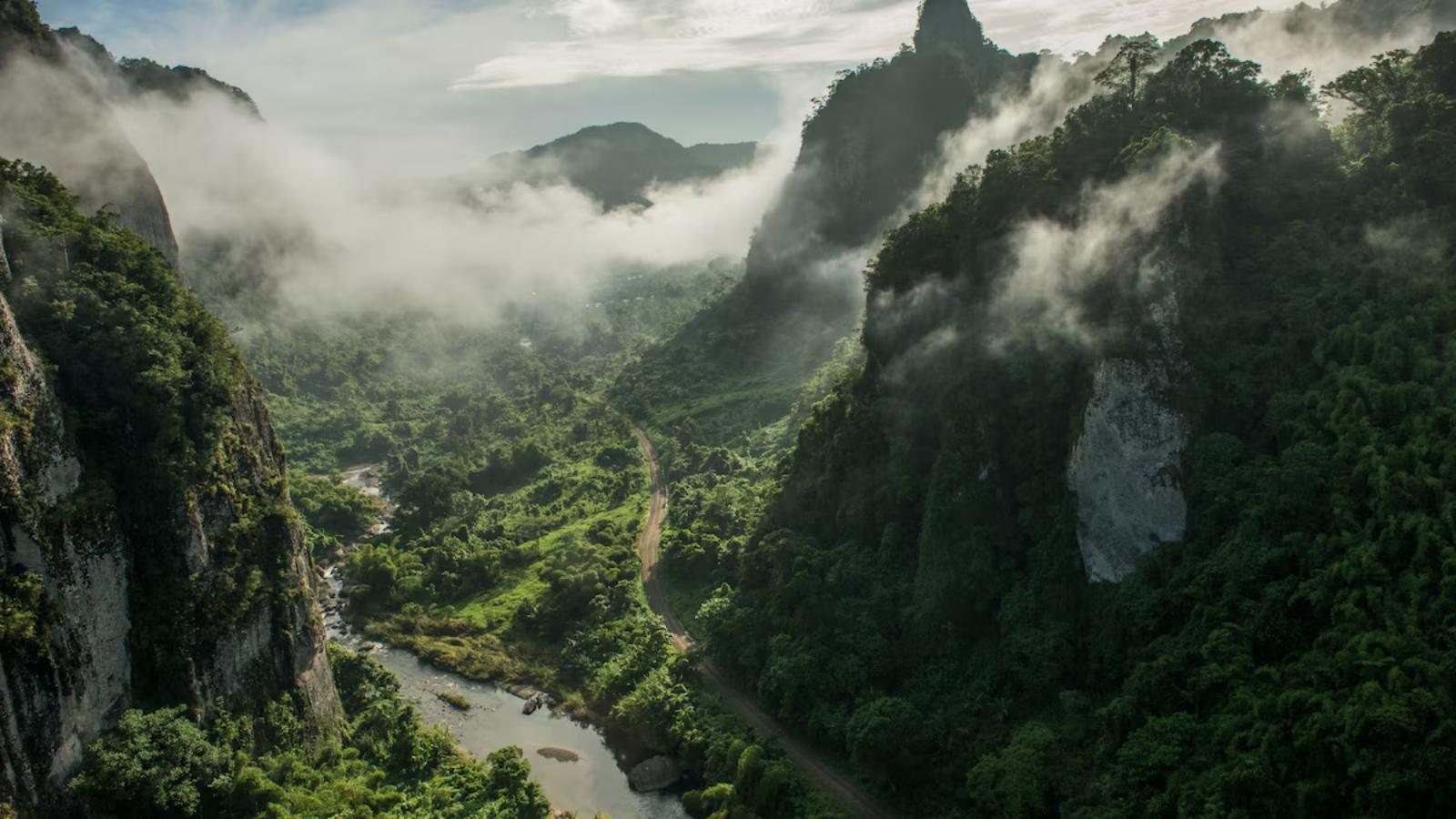 Luxury Fiji Island Escape Sail, Relax & Rejuvenate